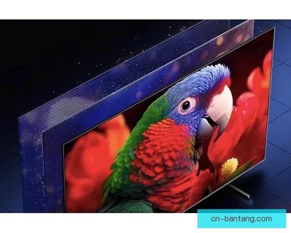 樱桃影视大全：解锁无限精彩，开启您的视听盛宴